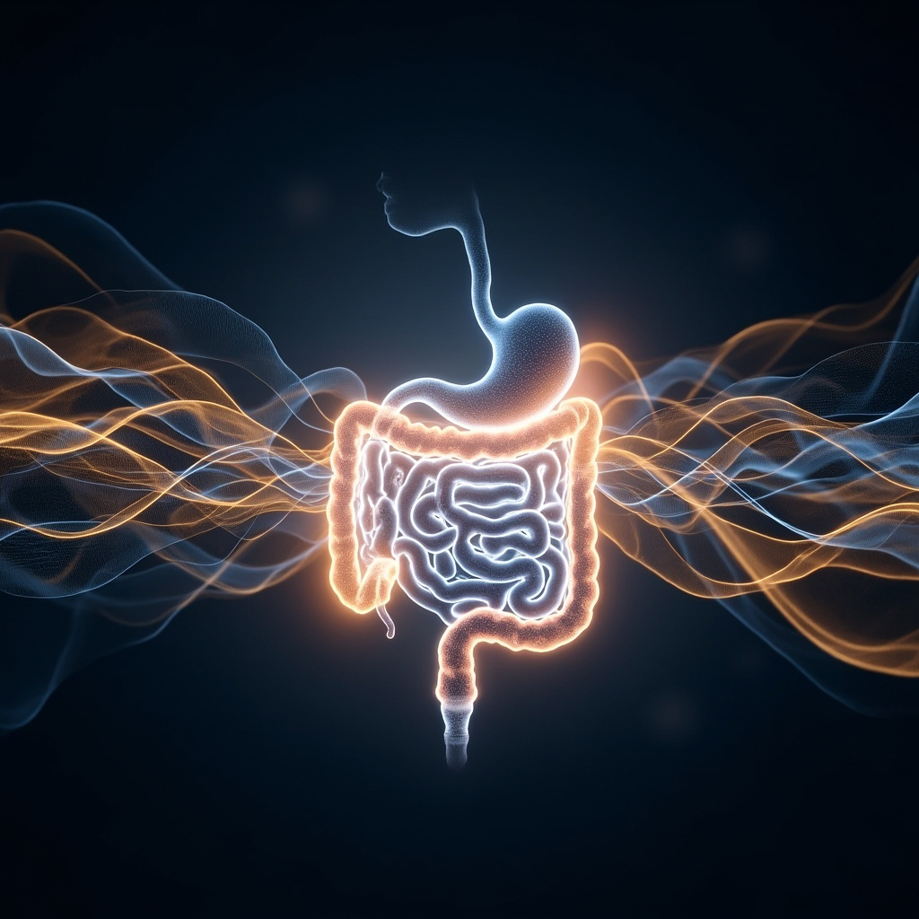 A high-quality, calm, and scientific-looking abstract visualization showing glowing, harmonious wave patterns intersecting with a silhouette of the human digestive system, soft blue and gold lighting, professional medical illustration style.